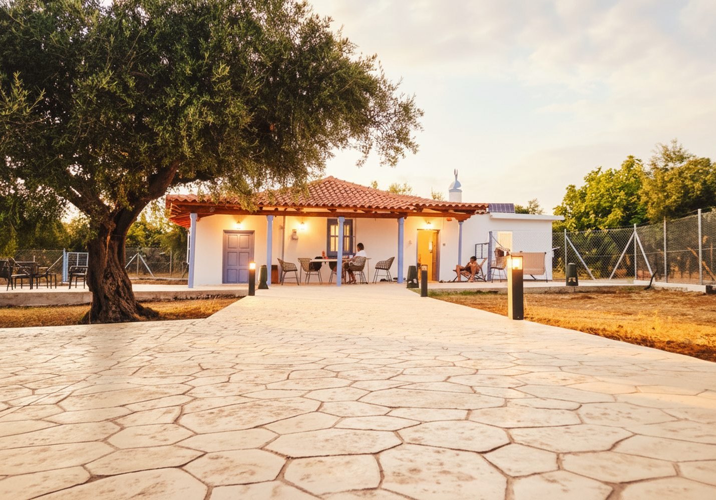L’ulivo secolare davanti a Navarino Greek House, uno degli alberi del nostro uliveto